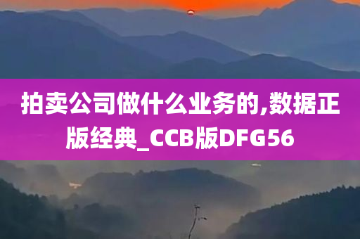 拍卖公司做什么业务的,数据正版经典_CCB版DFG56