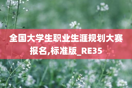 全国大学生职业生涯规划大赛报名,标准版_RE35