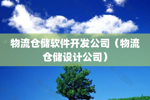 物流仓储软件开发公司（物流仓储设计公司）