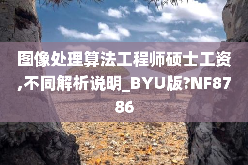 图像处理算法工程师硕士工资,不同解析说明_BYU版?NF8786