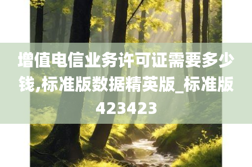 增值电信业务许可证需要多少钱,标准版数据精英版_标准版423423