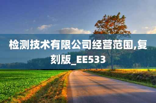 检测技术有限公司经营范围,复刻版_EE533