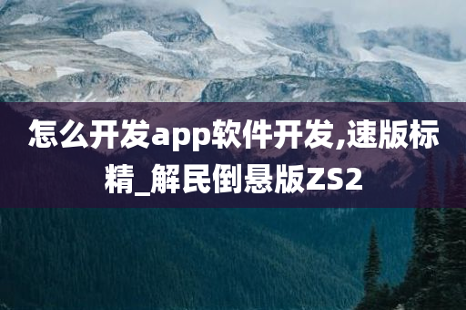 怎么开发app软件开发,速版标精_解民倒悬版ZS2