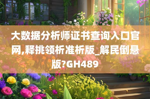 大数据分析师证书查询入口官网,释挑领析准析版_解民倒悬版?GH489