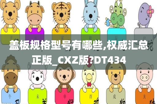 盖板规格型号有哪些,权威汇总正版_CXZ版?DT434