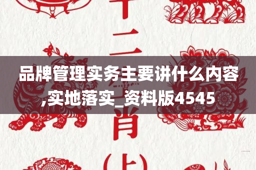 品牌管理实务主要讲什么内容,实地落实_资料版4545