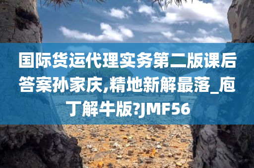 国际货运代理实务第二版课后答案孙家庆,精地新解最落_庖丁解牛版?JMF56