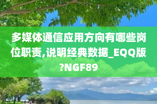 多媒体通信应用方向有哪些岗位职责,说明经典数据_EQQ版?NGF89