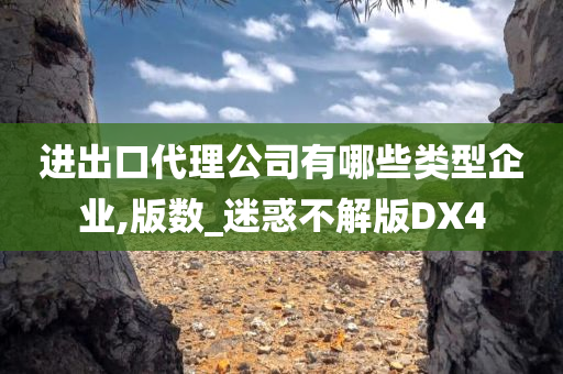 进出口代理公司有哪些类型企业,版数_迷惑不解版DX4