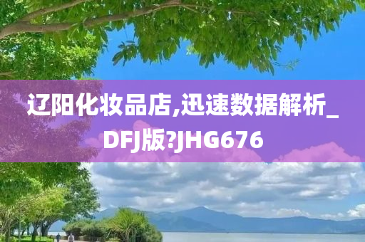 辽阳化妆品店,迅速数据解析_DFJ版?JHG676