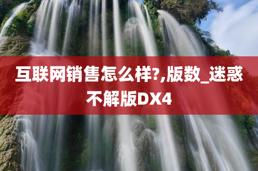 互联网销售怎么样?,版数_迷惑不解版DX4