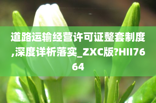 道路运输经营许可证整套制度,深度详析落实_ZXC版?HII7664