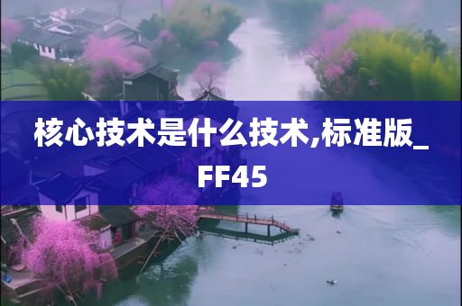 核心技术是什么技术,标准版_FF45