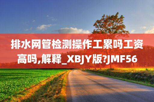 排水网管检测操作工累吗工资高吗,解释_XBJY版?JMF56