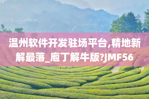 温州软件开发驻场平台,精地新解最落_庖丁解牛版?JMF56