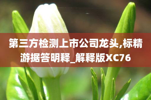 第三方检测上市公司龙头,标精游据答明释_解释版XC76