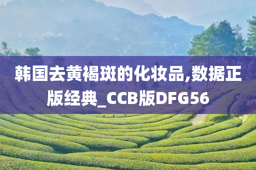 韩国去黄褐斑的化妆品,数据正版经典_CCB版DFG56