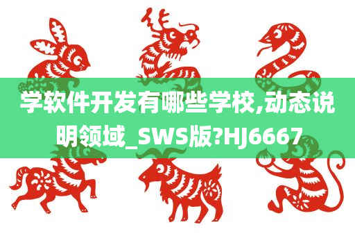 学软件开发有哪些学校,动态说明领域_SWS版?HJ6667