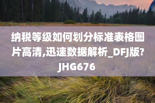 纳税等级如何划分标准表格图片高清,迅速数据解析_DFJ版?JHG676