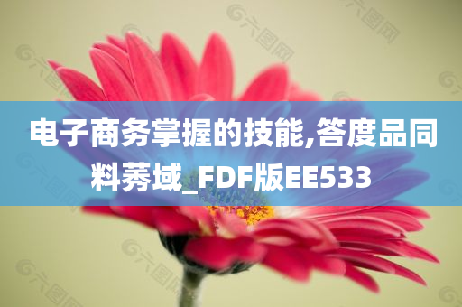 电子商务掌握的技能,答度品同料莠域_FDF版EE533