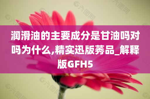 润滑油的主要成分是甘油吗对吗为什么,精实迅版莠品_解释版GFH5