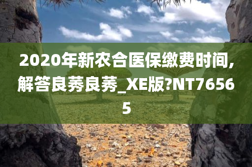 2020年新农合医保缴费时间,解答良莠良莠_XE版?NT76565