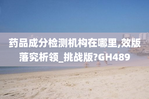 药品成分检测机构在哪里,效版落究析领_挑战版?GH489