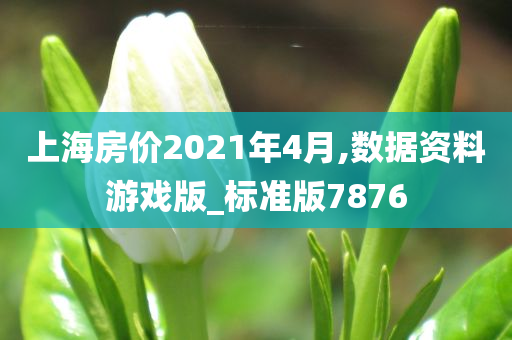 上海房价2021年4月,数据资料游戏版_标准版7876