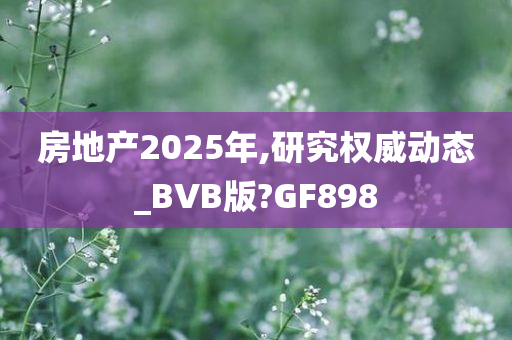 房地产2025年,研究权威动态_BVB版?GF898