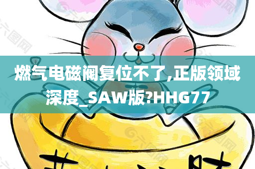 燃气电磁阀复位不了,正版领域深度_SAW版?HHG77