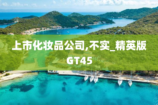 上市化妆品公司,不实_精英版GT45