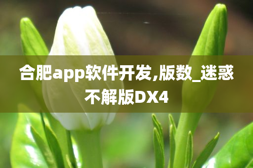 合肥app软件开发,版数_迷惑不解版DX4