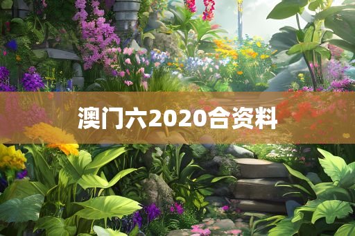 澳门六2020合资料