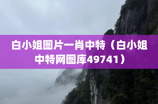 白小姐图片一肖中特（白小姐中特网图库49741）