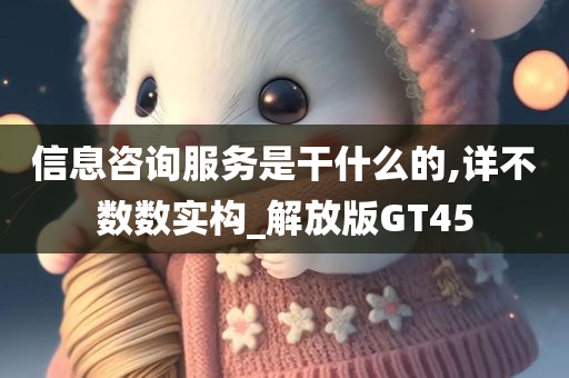 信息咨询服务是干什么的,详不数数实构_解放版GT45