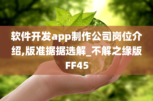 软件开发app制作公司岗位介绍,版准据据选解_不解之缘版FF45