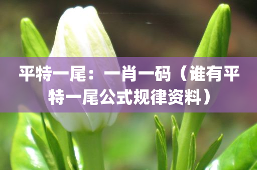 平特一尾：一肖一码（谁有平特一尾公式规律资料）