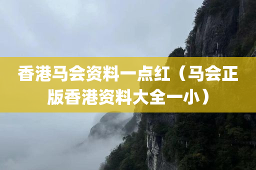 香港马会资料一点红（马会正版香港资料大全一小）