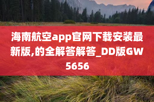 海南航空app官网下载安装最新版,的全解答解答_DD版GW5656