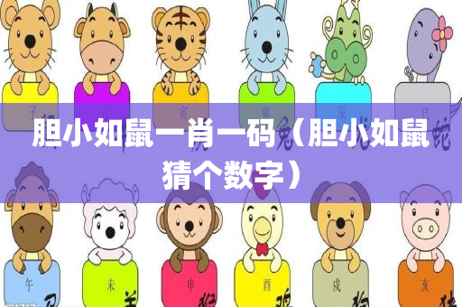 胆小如鼠一肖一码（胆小如鼠猜个数字）