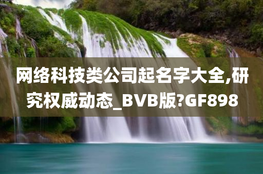 网络科技类公司起名字大全,研究权威动态_BVB版?GF898