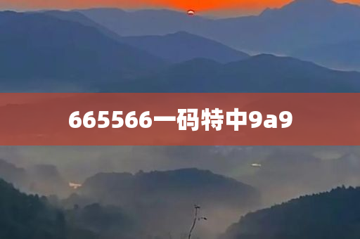 665566一码特中9a9