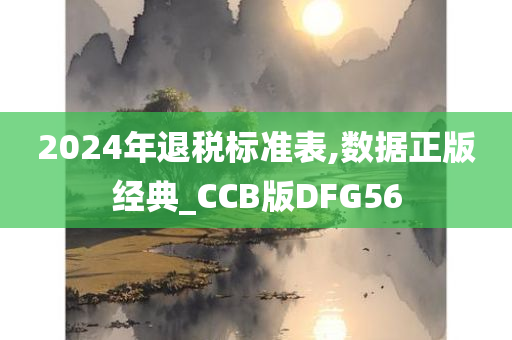 2024年退税标准表,数据正版经典_CCB版DFG56