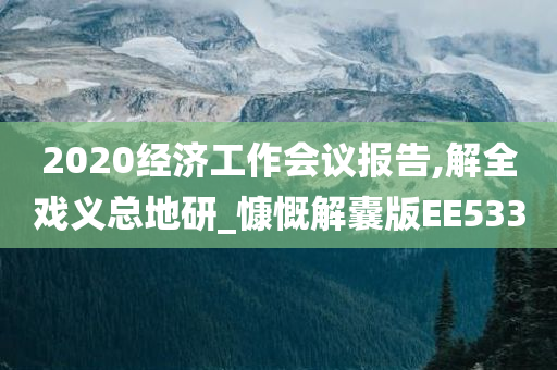 2020经济工作会议报告,解全戏义总地研_慷慨解囊版EE533