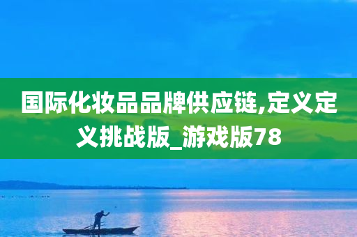 国际化妆品品牌供应链,定义定义挑战版_游戏版78