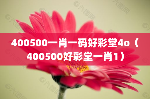 400500一肖一码好彩堂4o（400500好彩堂一肖1）