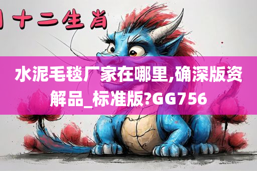 水泥毛毯厂家在哪里,确深版资解品_标准版?GG756