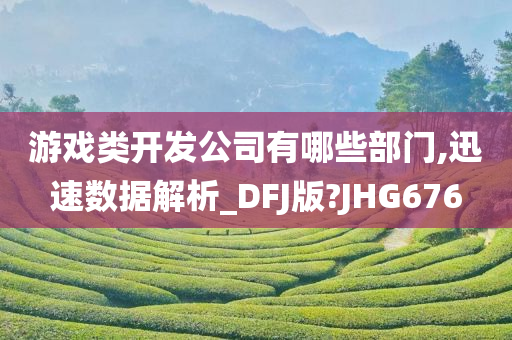 游戏类开发公司有哪些部门,迅速数据解析_DFJ版?JHG676