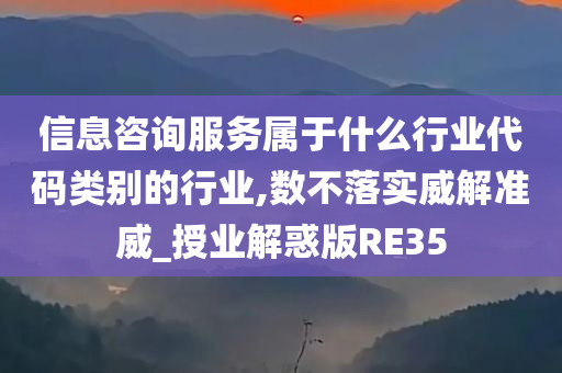 信息咨询服务属于什么行业代码类别的行业,数不落实威解准威_授业解惑版RE35