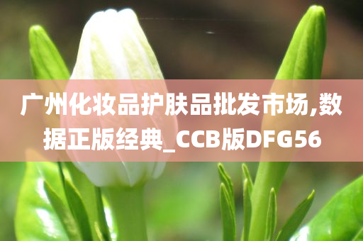 广州化妆品护肤品批发市场,数据正版经典_CCB版DFG56